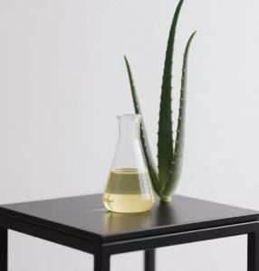 Aceite de Aloe Vera, aceite natural para la piel, extracto herbal para uso cosmético a un precio asequible por exportador de la India. - Product Image 3