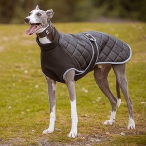 Vêtements de luxe matelassés en polyester pour chiens, veste pour chien, tapis classique en polyester de luxe pour chien, vente chaude, Kanpur - Product Image 6