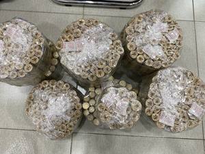 Pôles en bambou naturel du Vietnam, longueurs 1M, 2M, 3M, 4M, pour support de plantes de jardin, vente en gros - Product Image 3