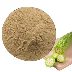 Polvo de Melón Amargo 100% Puro y Natural al por Mayor, Polvo de Momordica Charantia de Alta Calidad de la India - Product Image 4