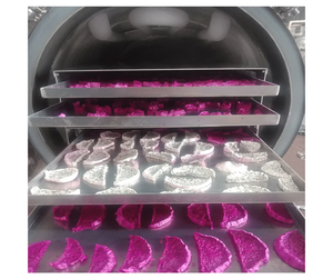 Frutas Liofilizadas Mixtas de Alta Calidad, Origen Vietnam - Mezcla de Frutas Crujientes para Exportación al por Mayor - Product Image 2