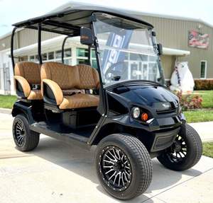 Sistema de Dirección Resistente al Desgaste, Carrito de Golf Moderno con Baja Tasa de Fallos, Carrito de Golf Eléctrico para Uso a Largo Plazo - Product Image 6