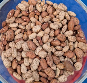 Venta al por Mayor de Frijoles Pinto Secos a Granel de Primera Calidad, Sin OMG, Frijoles Rojos Moteados, Cosecha del Año, Almacenamiento a Largo Plazo, Envasados al Vacío - Product Image 6