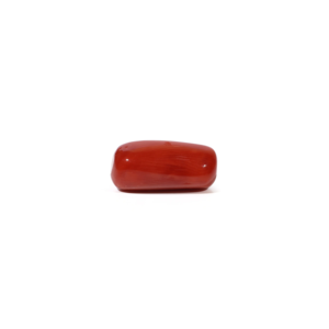 Natural Red Coral Oval Cabochon Loose Gemstone 4.8 Carat Certified Wholesale - Product Image 3