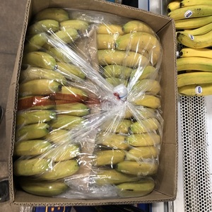 Bananes Cavendish vertes fraîches biologiques les plus vendues, naturellement sucrées, qualité 1, 25 kg, récolte écologique exportée des Pays-Bas - Product Image 1