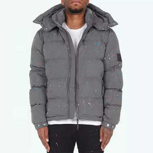 Veste d'hiver matelassée pour homme, style streetwear, légère et isolante, avec capuche et logo frontal, idéale pour la randonnée, le camping, les voyages et le quotidien. - Product Image 1