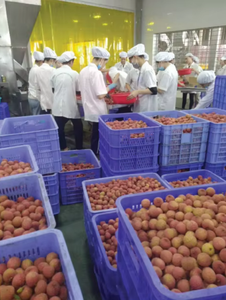 Lichi congelado Vietnam Lichi dulce IQF recién pelado Perfecto para uso de helados y batidos - Product Image 3