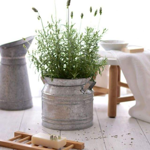 Jardinière galvanisée élégante pour la décoration intérieure et extérieure, le jardin, le balcon et la pépinière, articles à offrir en cadeau, provenant d'Inde - Product Image 3