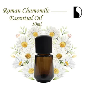 Home adalah minyak esensial Chamomile Romawi 100% murni dari Tiongkok ke minyak esensial unit distilasi seluruh dunia