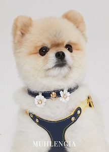 Muhlengia Velvet Customized Rivet Dog Harness Eco-Friendly Wedding <b>Clothes</b> Basic Design Dog Accessories - Product Image 3