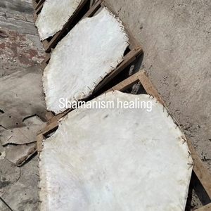 Parche de cuero crudo blanco duradero de piel animal natural para tambor de marco, tambor de fagot, tambor de mano peludo, parches de cuero de vaca para tambor - Product Image 2