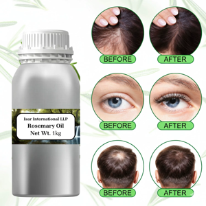 Huile Essentielle de Romarin 100% Pure et Naturelle (Feuilles) Marque Privée OEM – Fraîche, Nourrissante pour la Croissance des Cheveux et du Corps, et Aromathérapie pour Diffuseur - Product Image 4