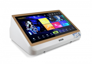 Machine de karaoké à écran tactile de 18,5 pouces, système de karaoké Android avec microphone sans fil, HDMI, RCA, WiFi pour les fêtes à domicile - Product Image 4