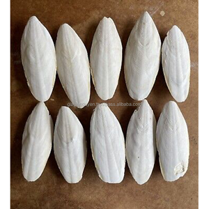 Hueso de Sepia para Loros, Aves y Reptiles, Suministros para Mascotas, Cuidado de Cangrejos Ermitaños - Product Image 2