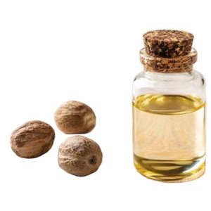 Nieuwste Aankomst Food Grade Nootmuskaat Oleoharsen Wild Geteeld In Bulkhoeveelheid Te Koop Door Exporteurs Natuurlijk Puur Laatste Aankomst - Product Image 1