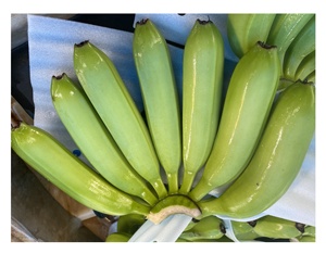Asia Farm Agriculture Fresh Green Cavendish Bananas 13kg Cartón Etiqueta personalizada para exportación mundial - Product Image 6