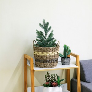 Brown and Yellow Handwoven Seagrass <b>Basket</b> Handmade <b>Storage</b> <b>Basket</b> Wholesale eco-friendly Made in Viet - Product Image 6