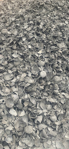 Carbón de Cáscara de Coco Crudo – Material con Alto Contenido de Carbono para la Producción de Carbón Activado, Uso Industrial - Product Image 3