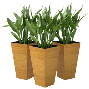 Juego de 3 Macetas Marrones de 22 Pulgadas para Interiores/Exteriores, con Drenaje Superior, Diseño Alto para Flores y Plantas - Product Image 1