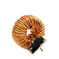 Inducteur PFC à courant élevé 300uH Bobine de choke de puissance