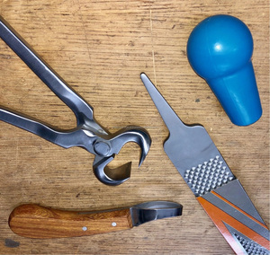 Kit d'outils de fermeur de qualité supérieure pour le soin des sabots de cheval et le retrait des sabots Medtrust Surgical ISO/CE Vente en gros Faible MOQ - Product Image 5