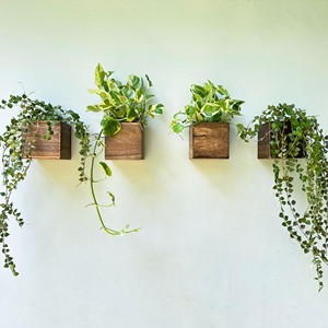 Natural Mango Wood Hanging Planter - Wholesale Bohemian <b>Decor</b> - Product Image 2