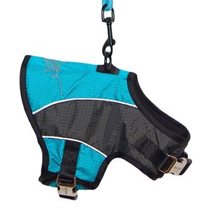 Pettorina e Guinzaglio Riflettenti 2-in-1 Premium per Cani, Regolabili per un Comfort Ottimale per Animali Attivi - Product Image 2