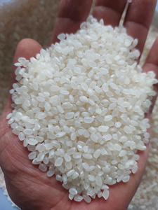 Venta Directa al por Mayor de Arroz Japonés Aromático Seco de Grano Medio para Sushi, Certificado ISO, en Bolsas de 5 kg, Proveedores MRS BELLE - Product Image 5