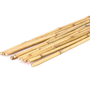 Cañas de bambú Tonkin al por mayor, materia prima de la mejor calidad, varas naturales para decoración y construcción - Product Image 4