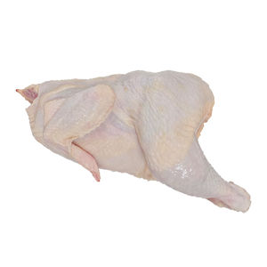 Pechuga de Pollo Halal Congelada, Sin Hueso, Sin Piel, Procesada Higiénicamente, Lista para Exportación, Suministro Global - Product Image 3