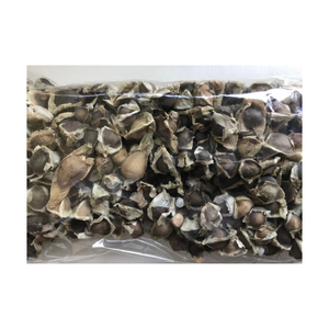 Graines de Moringa sélectionnées, adaptées à l'établissement agricole et à la production de cultures - Product Image 1
