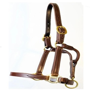 Cabestro de Cuero Premium para Caballo, Color Marrón Habana y Negro, Doble Costura, Ajustable, para Carreras de Caballos - Product Image 5