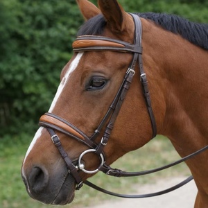 Kiran Overseas Ko-2030 Bridon en cuir pour cheval, marron clair et marron, avec sangle de nez, fronture et rembourrage de la tête avec surpiqûres - Product Image 1