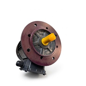 Moteur à induction triphasé à montage sur bride 0,75 kW (1 CV) 960 tr/min 6 pôles Boîtier en aluminium Haute efficacité - Product Image 1