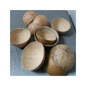 Bols en calebasse faits à la main, écologiques, pour le service alimentaire et la décoration rustique de la maison – Vente en gros pour importateurs - Product Image 5