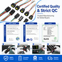 Faisceau de câbles 2,2 mm isolé en PVC, connecteur multipin personnalisé pour l'électronique automobile