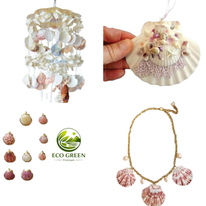Colección de Conchas Naturales de Vieira Premium para Decoración Costera, Manualidades y Exhibiciones con Temática de Playa - Product Image 3