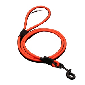 <b>Dog</b> LeashHandmade - Product Image 1