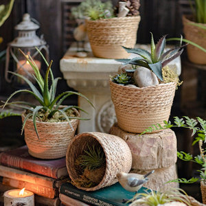 Panier de paille décoratif fabriqué à la main Bac de rangement tissé de style côtier - Product Image 3