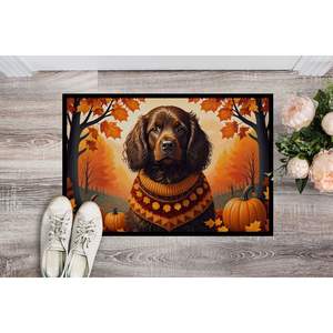 Boykin Spaniel Fall Paillasson Tapis d'entrée intérieur/extérieur lavable et antidérapant 24H X 36W Tapis de porte avant - Product Image 2