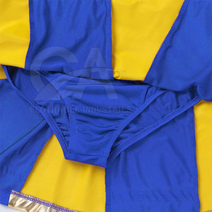 Nuevo Conjunto de Uniforme de Animadoras con Estilo, Atuendo Moderno para Equipos, Conjunto de Disfraces de Animadoras Premium - Product Image 6