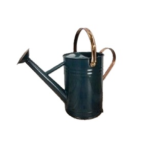 Arrosoir en métal finition verte antique pour décoration intérieure et extérieure, support de fleurs de table, fournitures de jardin - Product Image 4