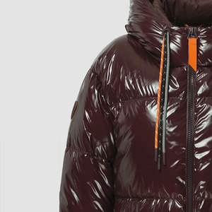 Blouson matelassé pour femme avec fermeture éclair intégrale, nouvelle collection, chaud et épais, style streetwear, mode décontractée d'hiver, avec capuche et col montant - Product Image 3