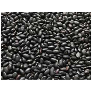 Fournisseur en gros de haricots noirs biologiques naturels, exportateur en vrac, haricots de qualité supérieure pour les marchés mondiaux - Product Image 3