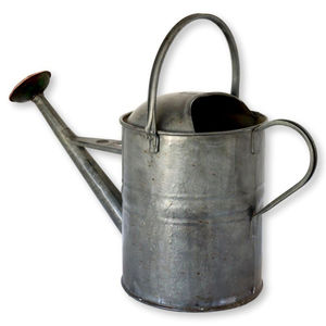 Arrosoir vintage en acier galvanisé crème avec accents en cuivre, bec long élégant pour plantes de jardin extérieur - Product Image 3