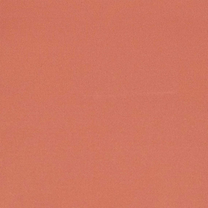 Débardeur court d'été personnalisé pour femme, fabriqué au Pakistan, en Spandex-Polyester, séchage rapide, pour entraînement et yoga, nouvelle arrivée - Product Image 5