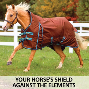Couvertures pour chevaux en nylon ripstop imperméable, maintiennent les chevaux au chaud en intérieur, tissu facile à nettoyer, confort luxueux pour une protection quotidienne. - Product Image 2