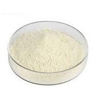 Premium quality natural <b>vanilla</b> powder bulk wholesale supplier for international food importers and global distributors - Product Image 5