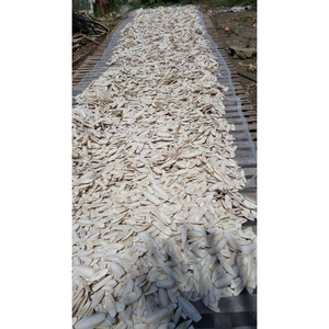 Superior Grade VF Dried Cuttlefish Bone <b>Bird</b> Chewing Material For Parrots Budgerigars Canaries Finches And <b>Aviary</b> <b>Birds</b> - Product Image 1