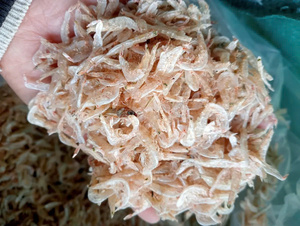 กุ้งอบแห้งแบบตากแดดสำหรับเด็กกุ้งแห้งจากเวียดนาม - Product Image 2